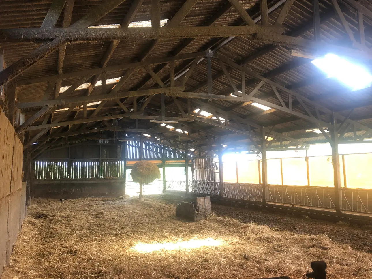 Photos 15 - Agricole - Exploitation Laitière à moins de 20 Km de Dinan