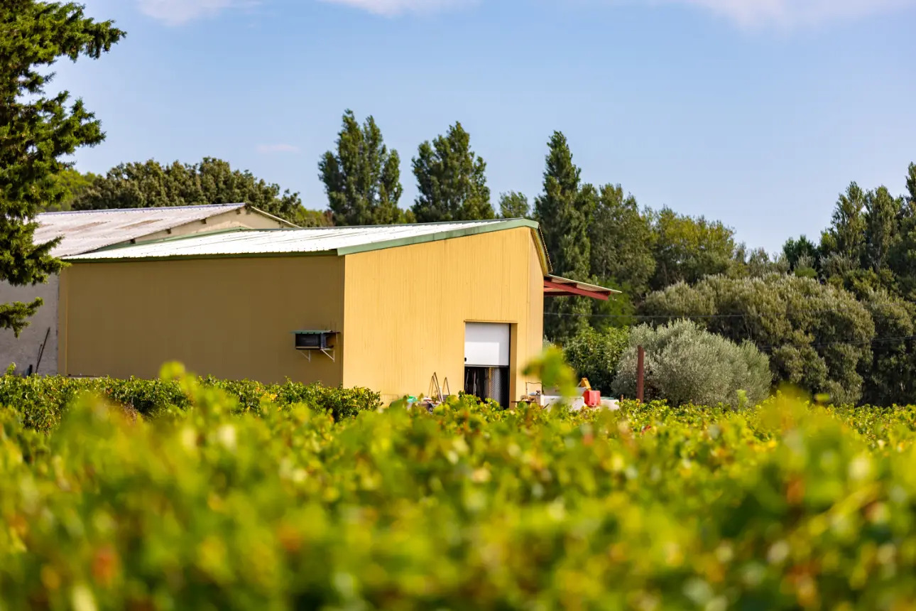 Photos 2 - Viticole - VENTE D'UN DOMAINE VITICOLE CLE EN MAIN EN PROVENCE
