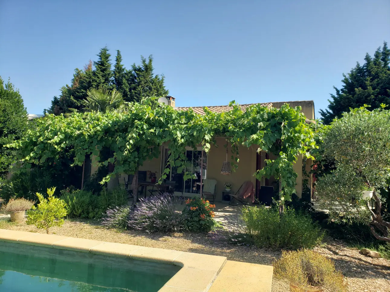 Photos 18 - Viticole - VENTE D'UN DOMAINE VITICOLE CLE EN MAIN EN PROVENCE