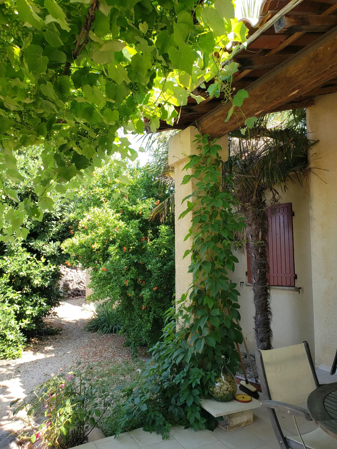 Photos 4 - Viticole - VENTE D'UN DOMAINE VITICOLE CLE EN MAIN EN PROVENCE