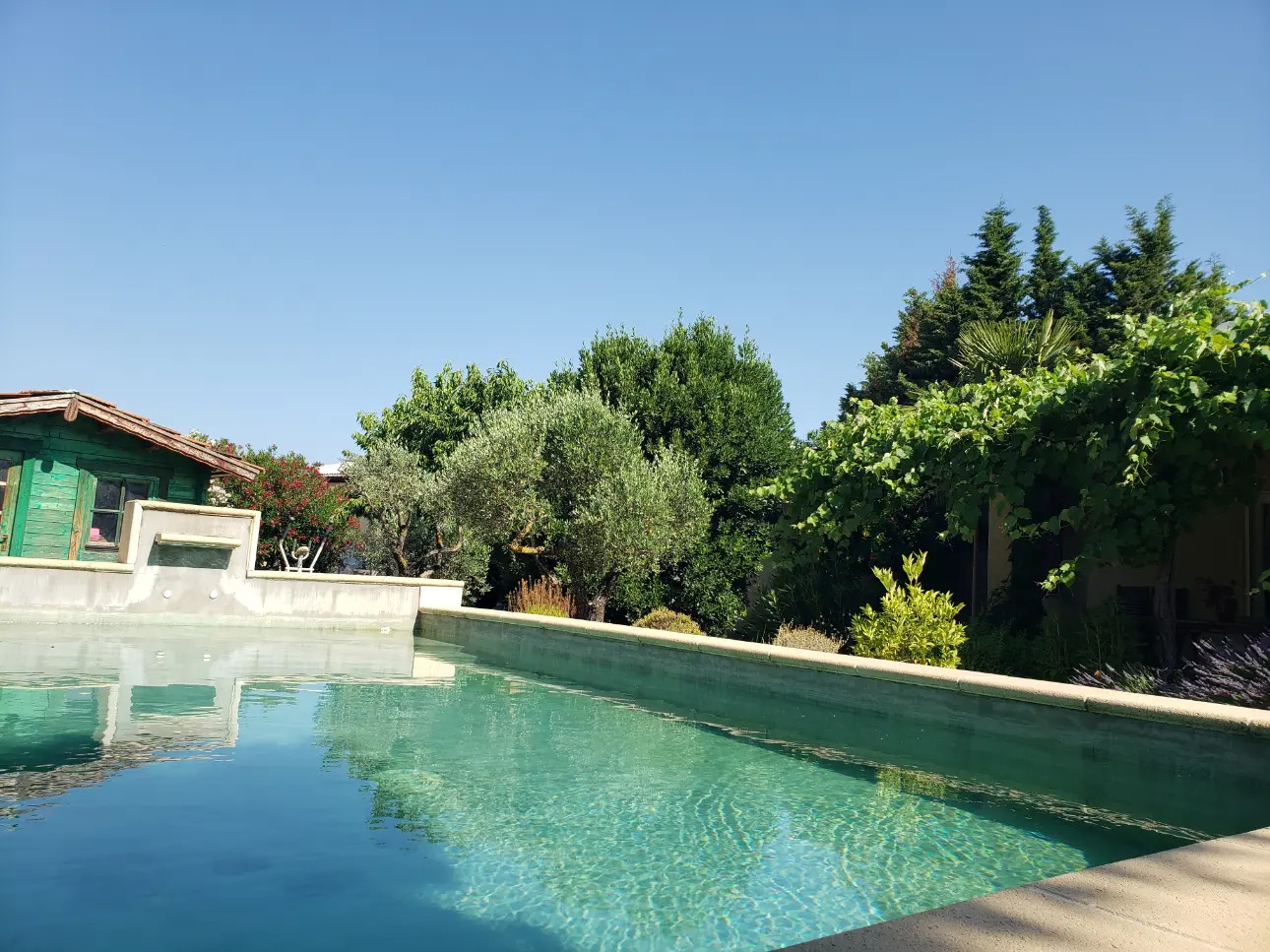Photos 10 - Viticole - VENTE D'UN DOMAINE VITICOLE CLE EN MAIN EN PROVENCE