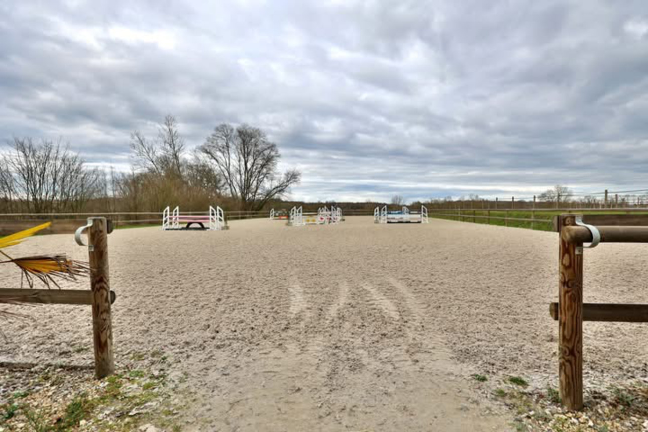 Photos 2 - Équestre - Propriété équestre clé en main de 3,5 hectares dans l’Ain