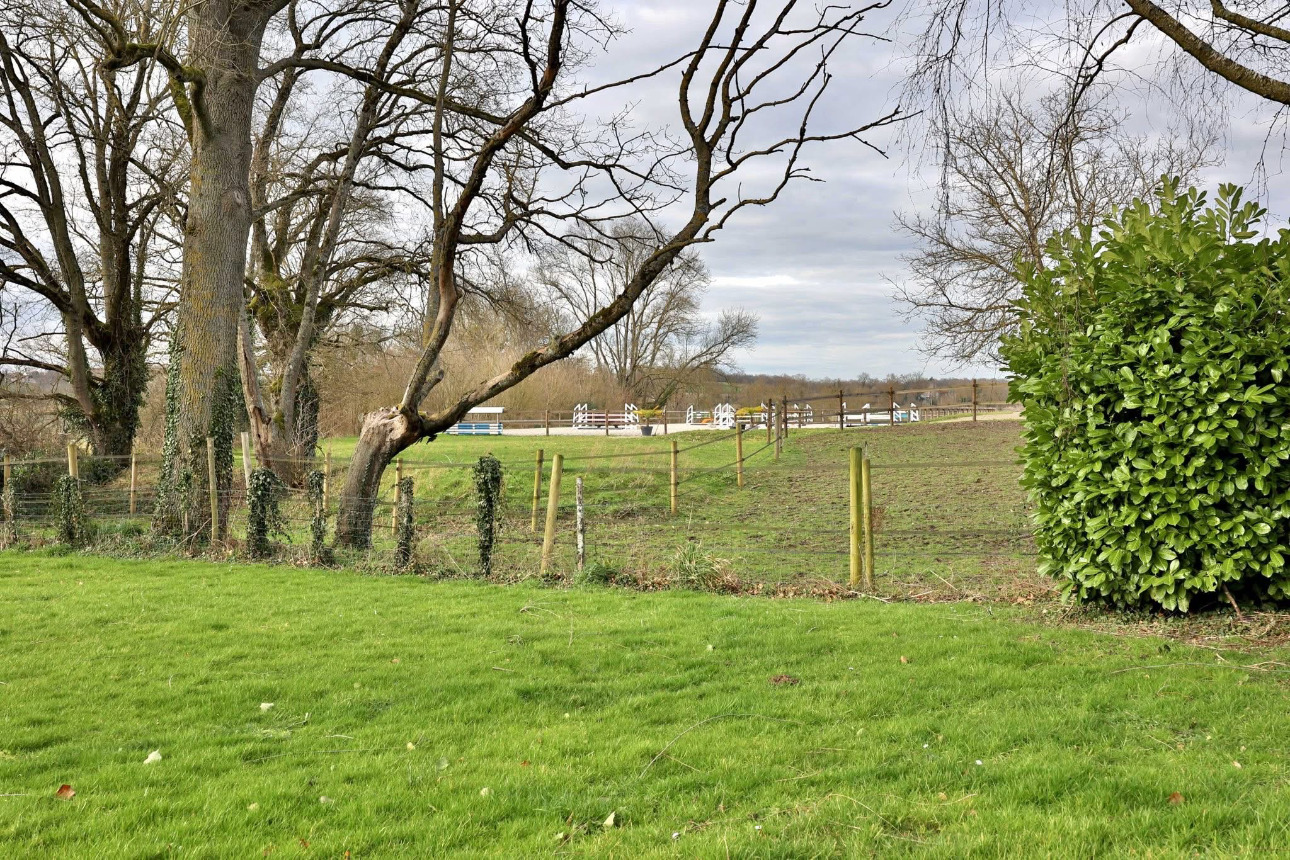 Photos 5 - Équestre - Propriété équestre clé en main de 3,5 hectares dans l’Ain