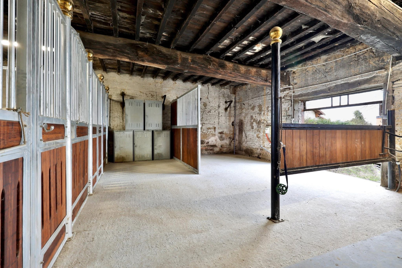 Photos 6 - Équestre - Propriété équestre clé en main de 3,5 hectares dans l’Ain