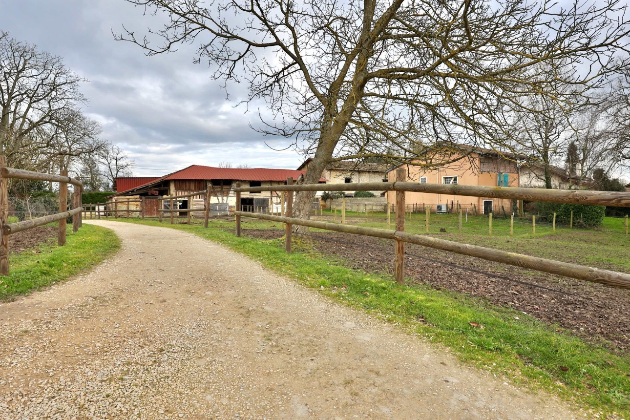 Photos 7 - Équestre - Propriété équestre clé en main de 3,5 hectares dans l’Ain