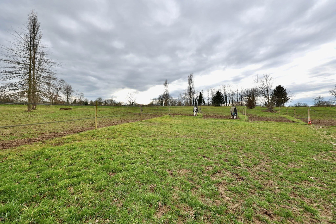 Photos 15 - Équestre - Propriété équestre clé en main de 3,5 hectares dans l’Ain