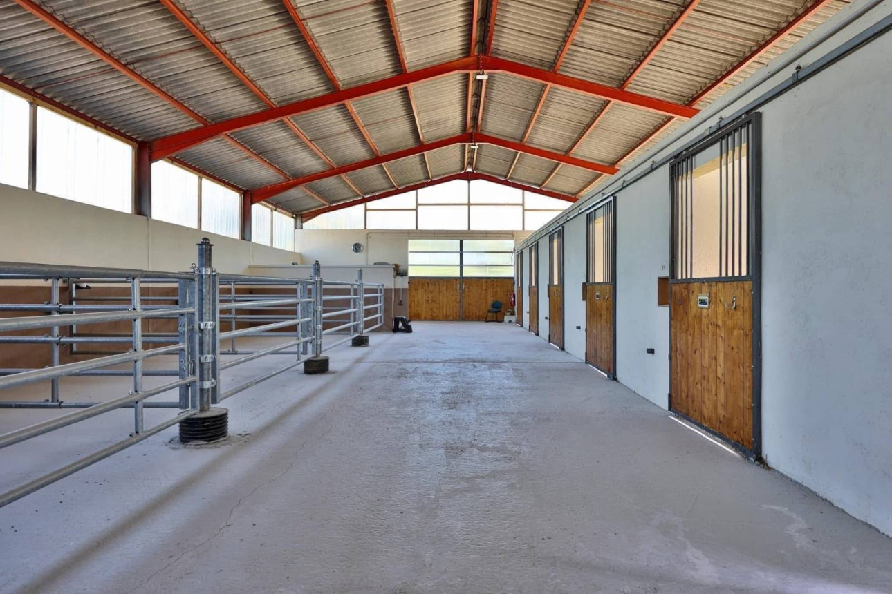Photos 4 - Équestre - Haras d’exception de 40 hectares (71)
