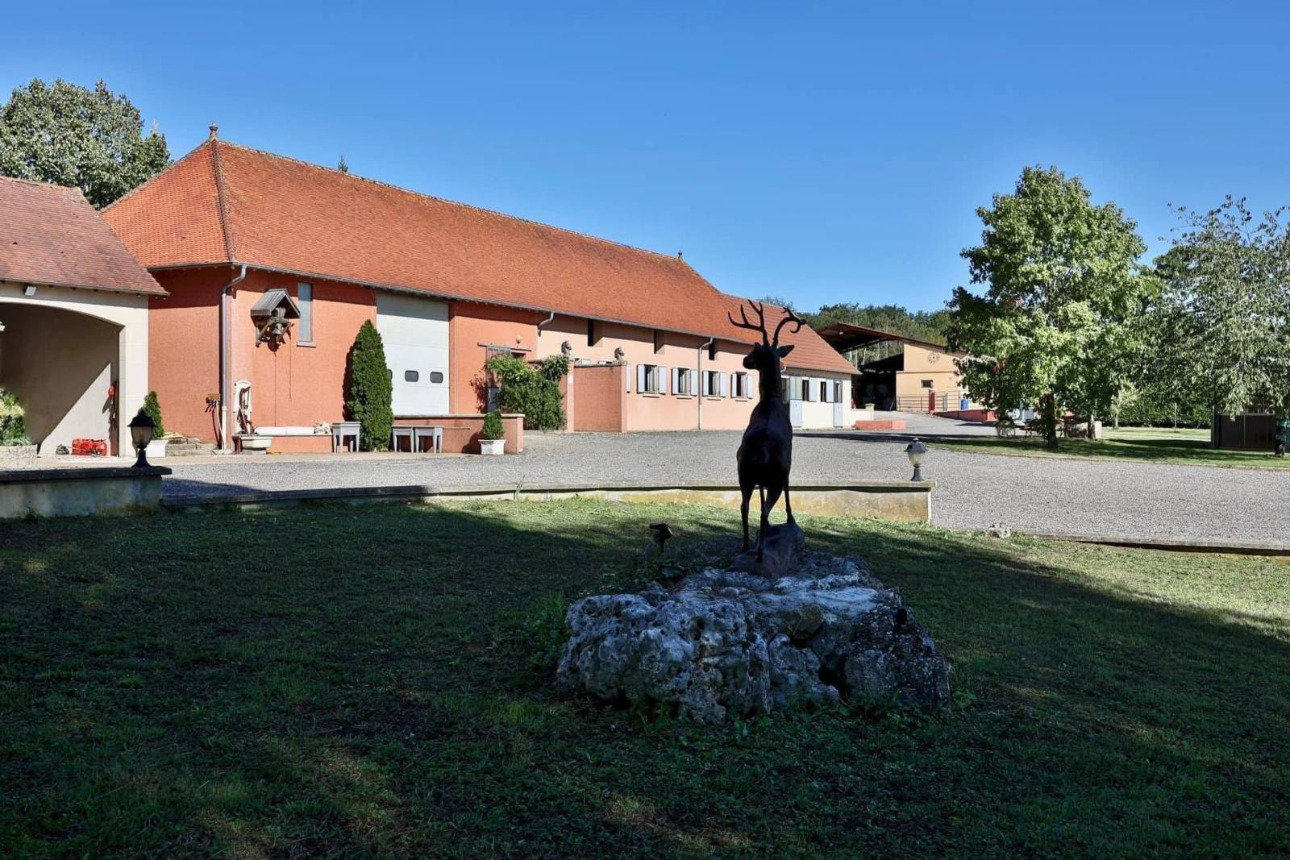Photos 6 - Équestre - Haras d’exception de 40 hectares (71)