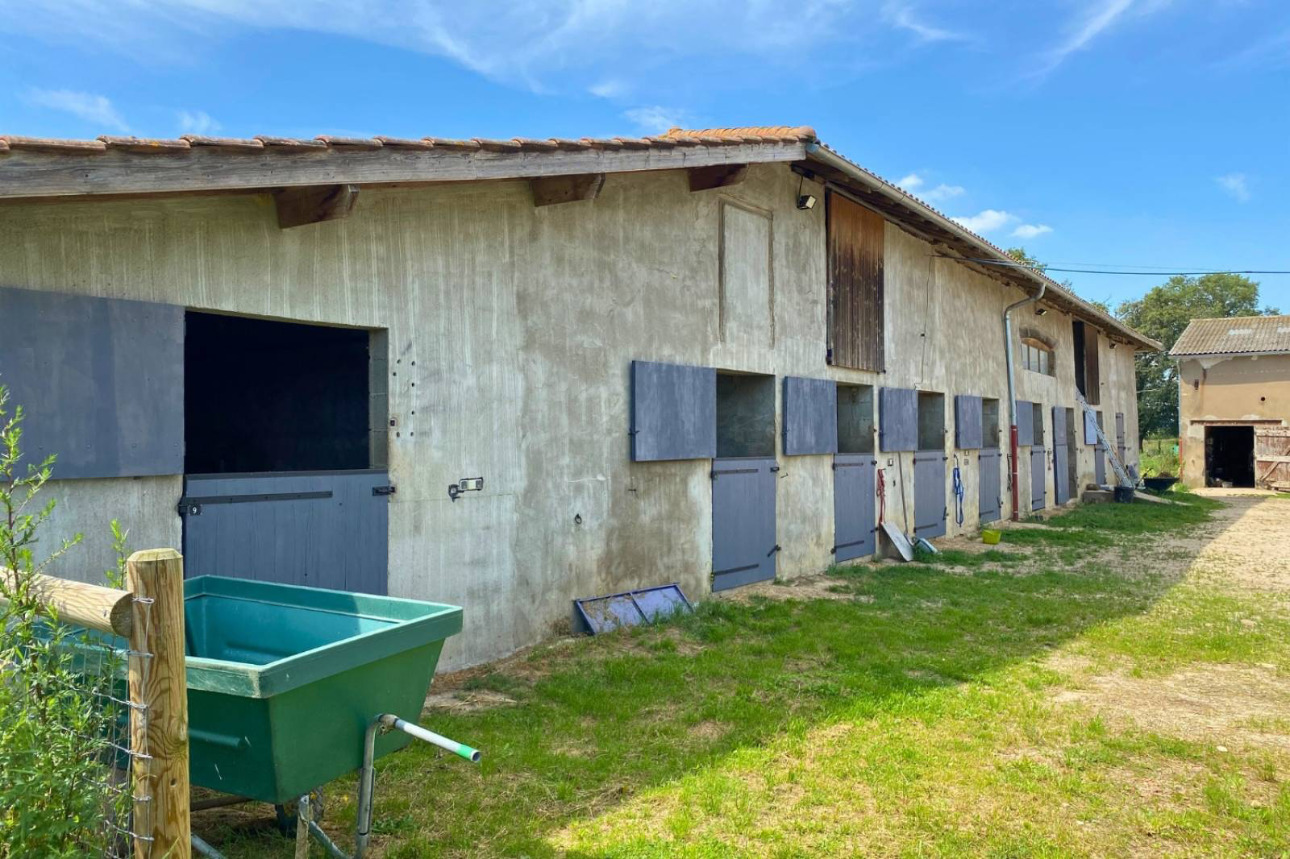 Photos 2 - Équestre - Rare sur le marché : Propriété équestre de 15 hectares située près de Châtillon-sur-Chalaronne