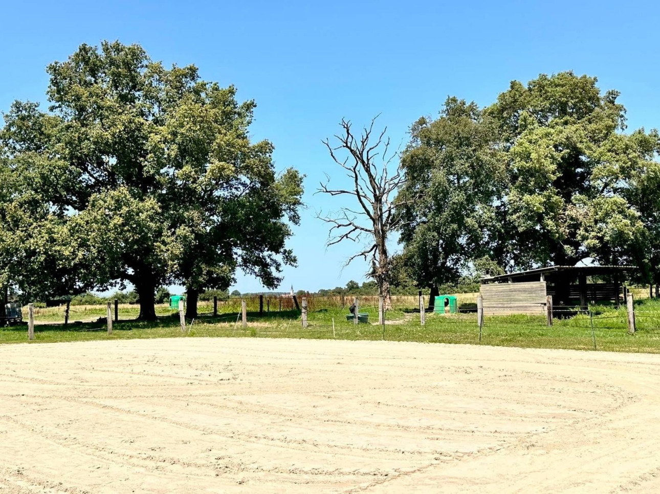 Photos 5 - Équestre - Rare sur le marché : Propriété équestre de 15 hectares située près de Châtillon-sur-Chalaronne