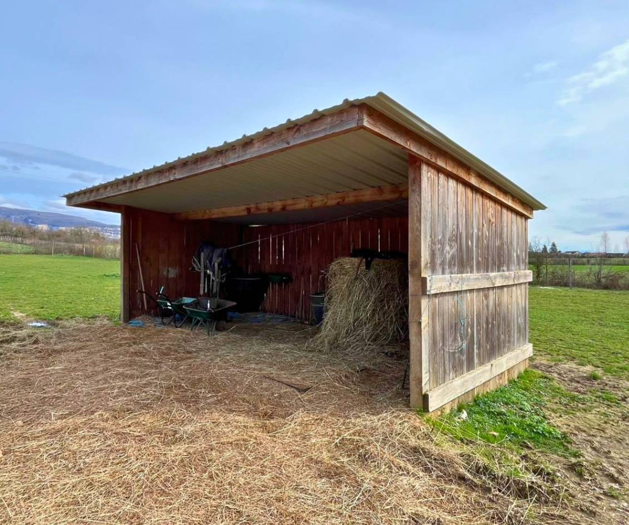 Photos 3 - Équestre - Propriété équestre de caractère de 2 hectares