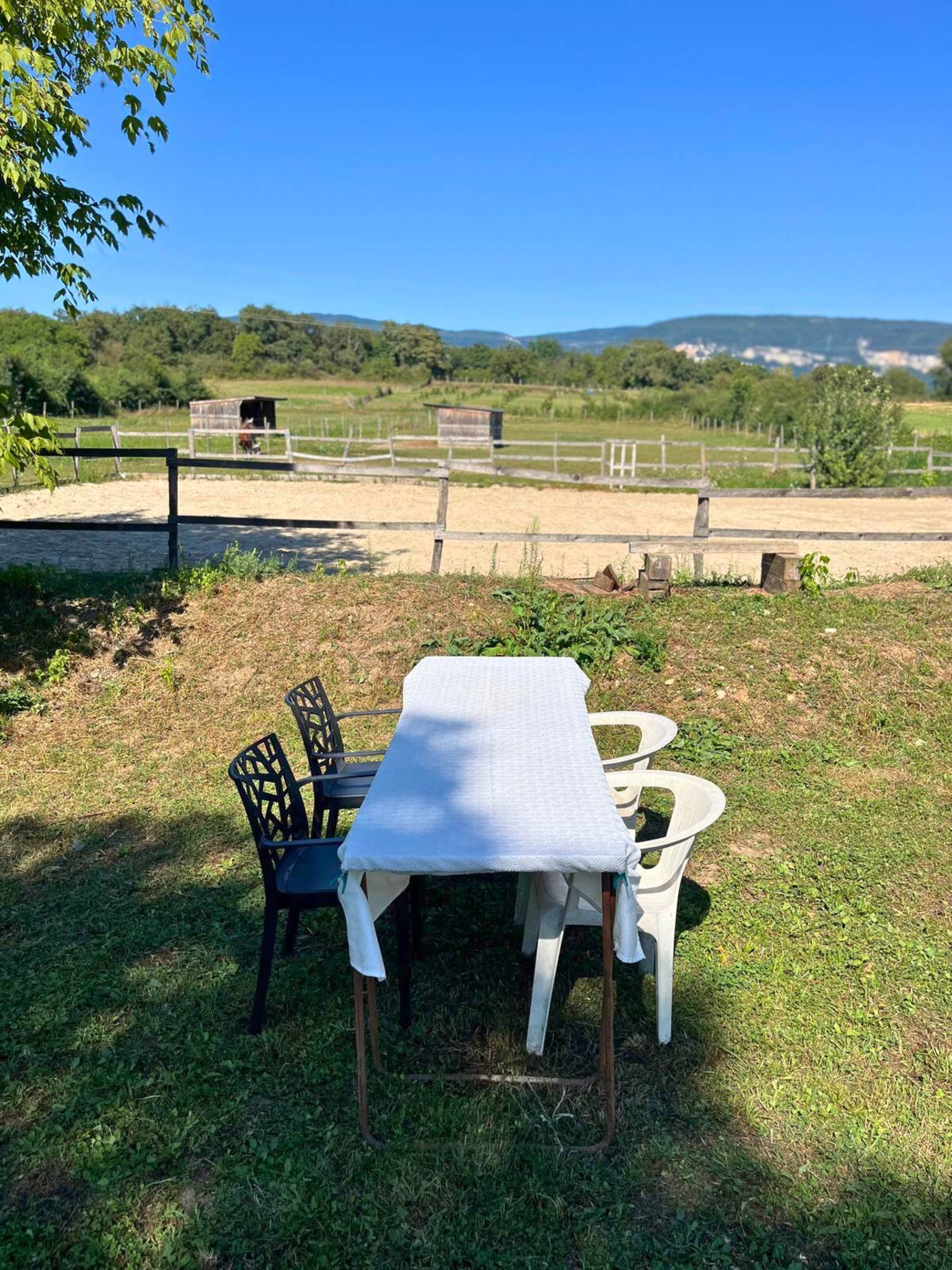 Photos 4 - Équestre - Propriété équestre de caractère de 2 hectares