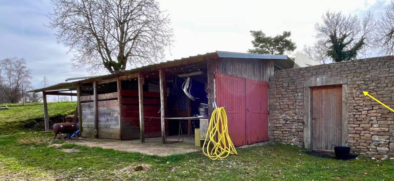 Photos 10 - Équestre - Propriété équestre de caractère de 2 hectares