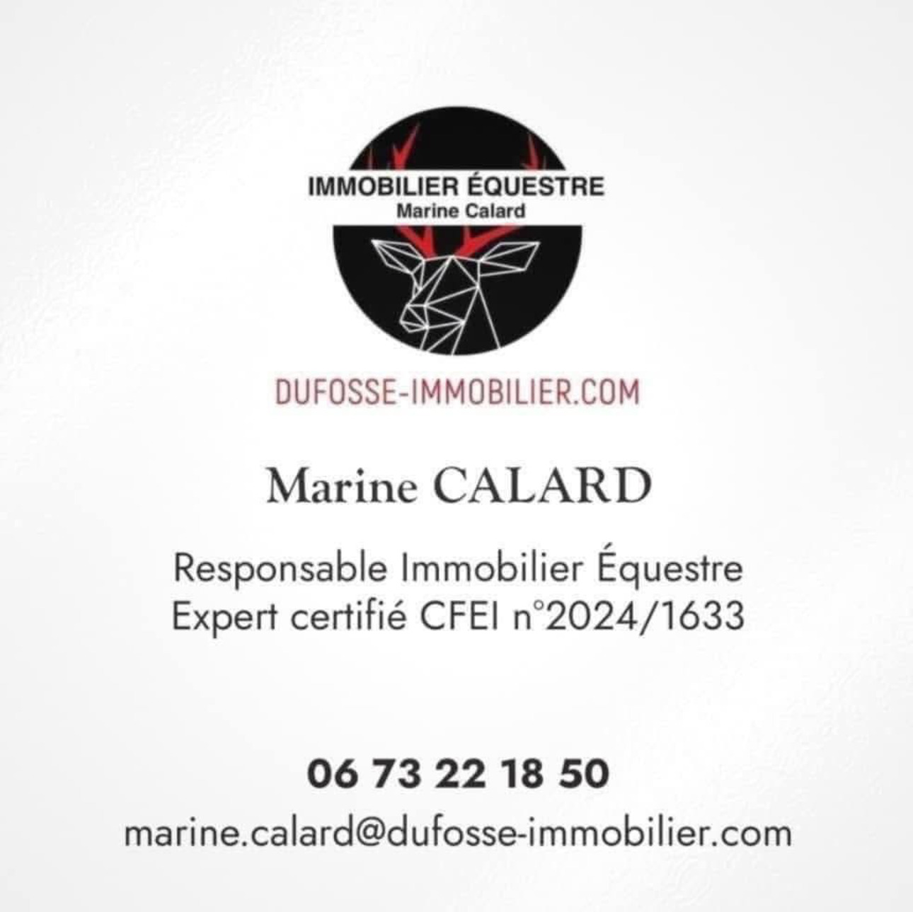 Photos 1 - Équestre - OFF MARKET -  Haras dexception de 15 hectares