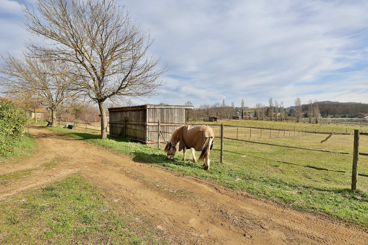 Photos 3 - Équestre - Charmante propriété équestre de 5 hectares au coeur de la Drôme des Collines