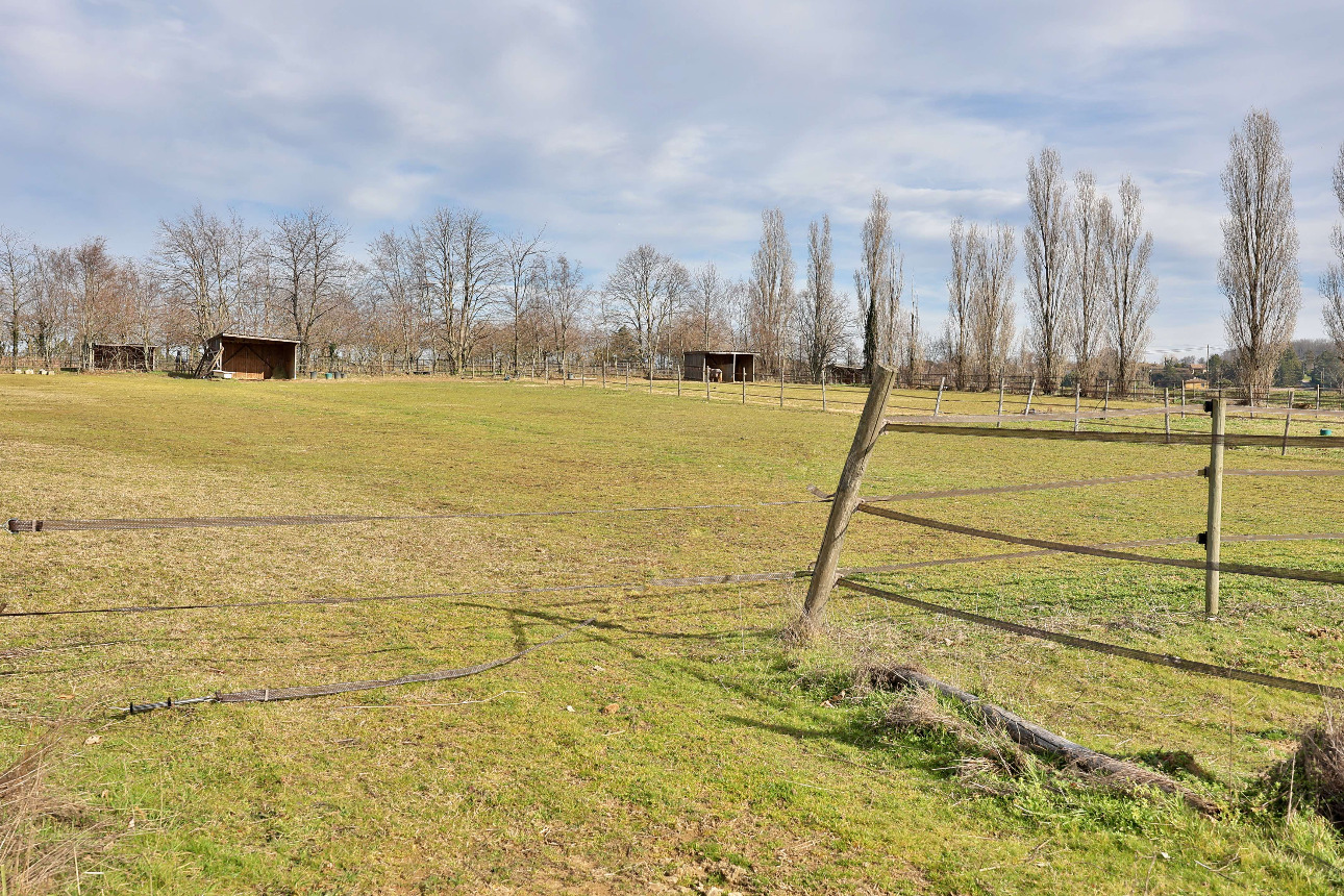 Photos 5 - Équestre - Charmante propriété équestre de 5 hectares au coeur de la Drôme des Collines