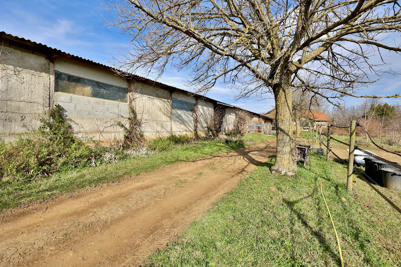 Photos 6 - Équestre - Charmante propriété équestre de 5 hectares au coeur de la Drôme des Collines
