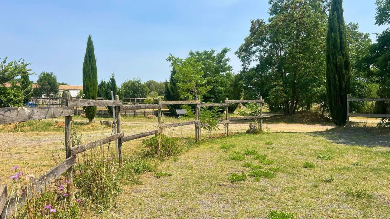 Photos 3 - Équestre - Charmante propriété équestre de 3,5 hectares