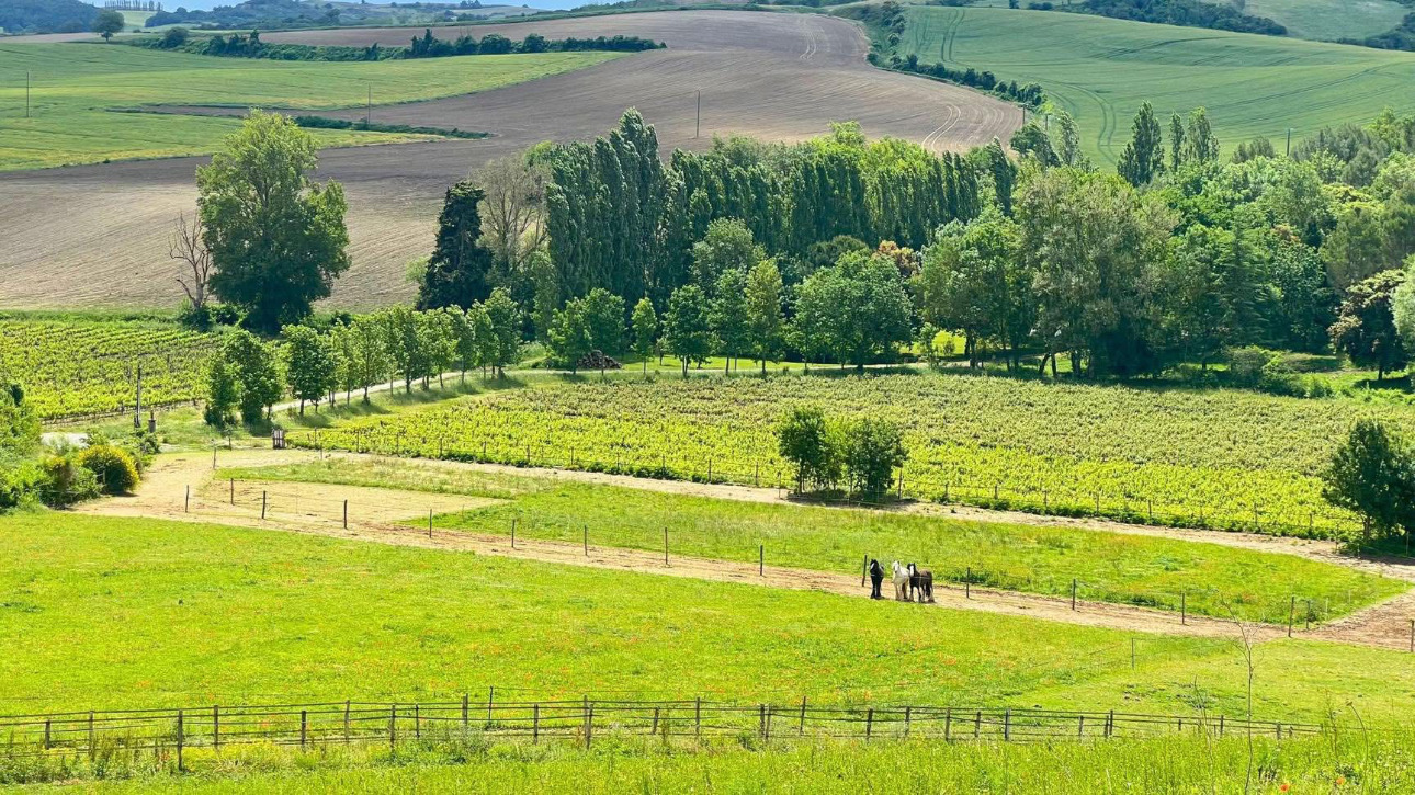 Photos 2 - Équestre - Propriété équestre de 6,3 hectares au coeur de l'Aude