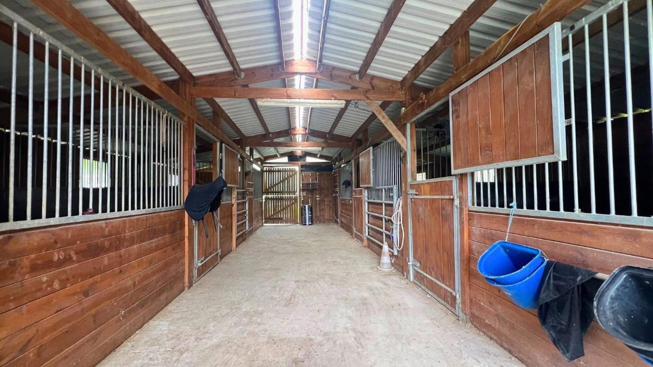 Photos 3 - Équestre - Propriété équestre de 6,3 hectares au coeur de l'Aude
