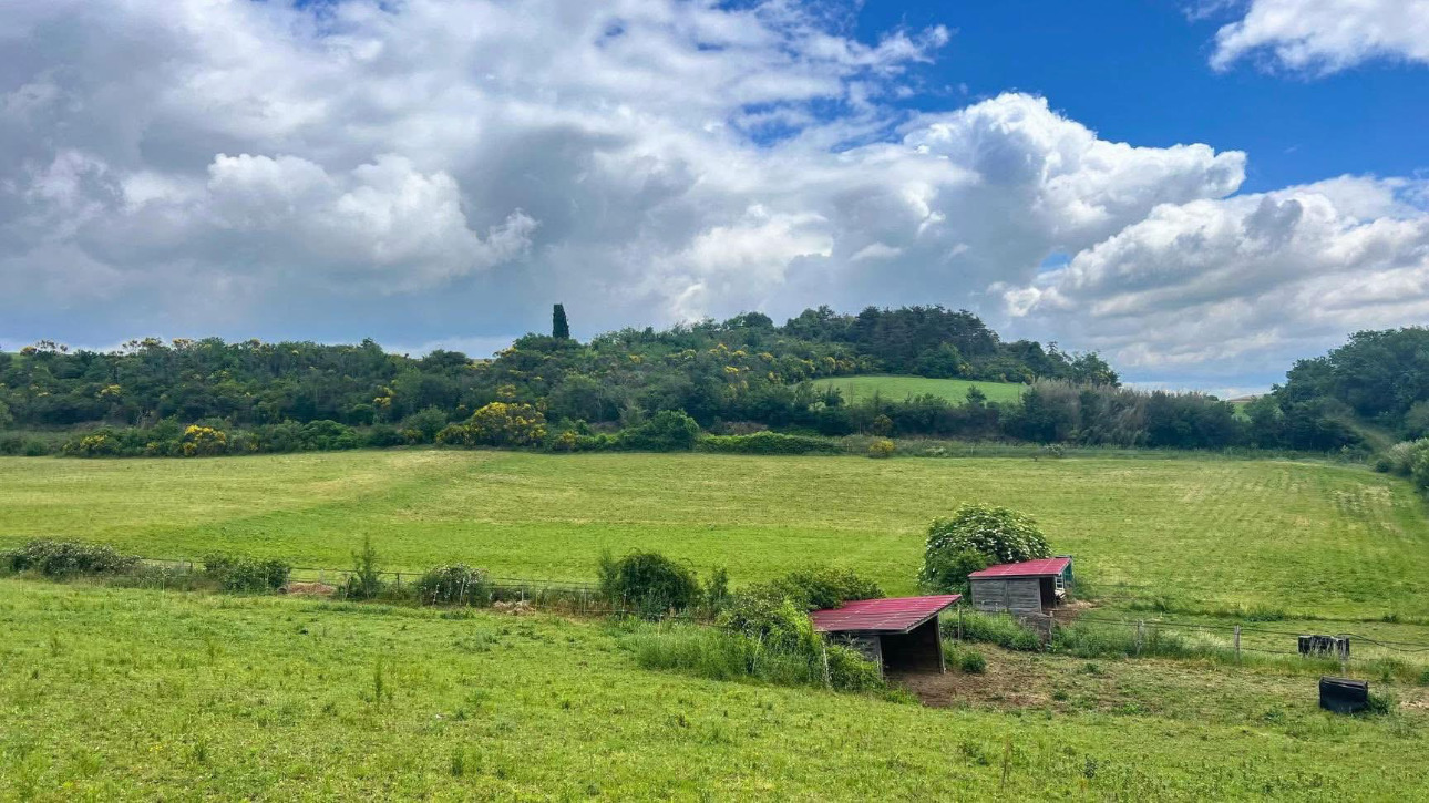 Photos 5 - Équestre - Propriété équestre de 6,3 hectares au coeur de l'Aude