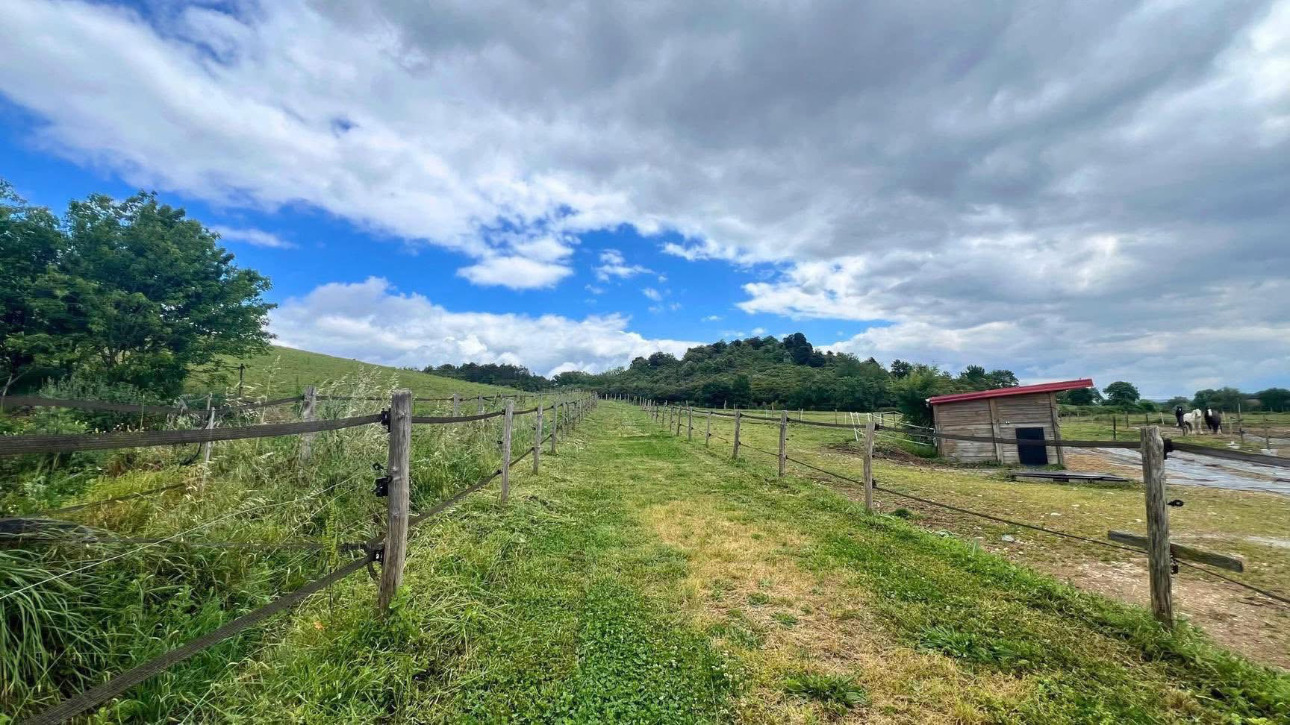 Photos 6 - Équestre - Propriété équestre de 6,3 hectares au coeur de l'Aude