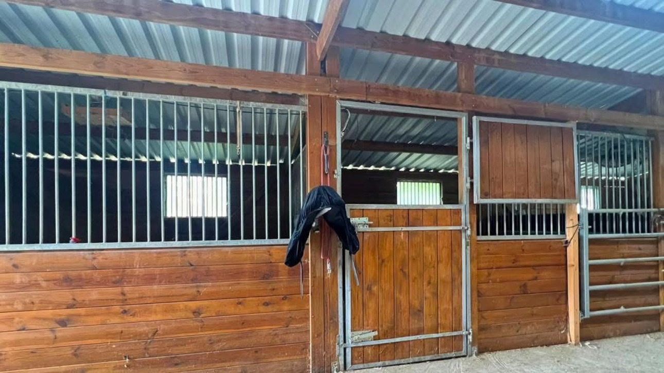 Photos 8 - Équestre - Propriété équestre de 6,3 hectares au coeur de l'Aude