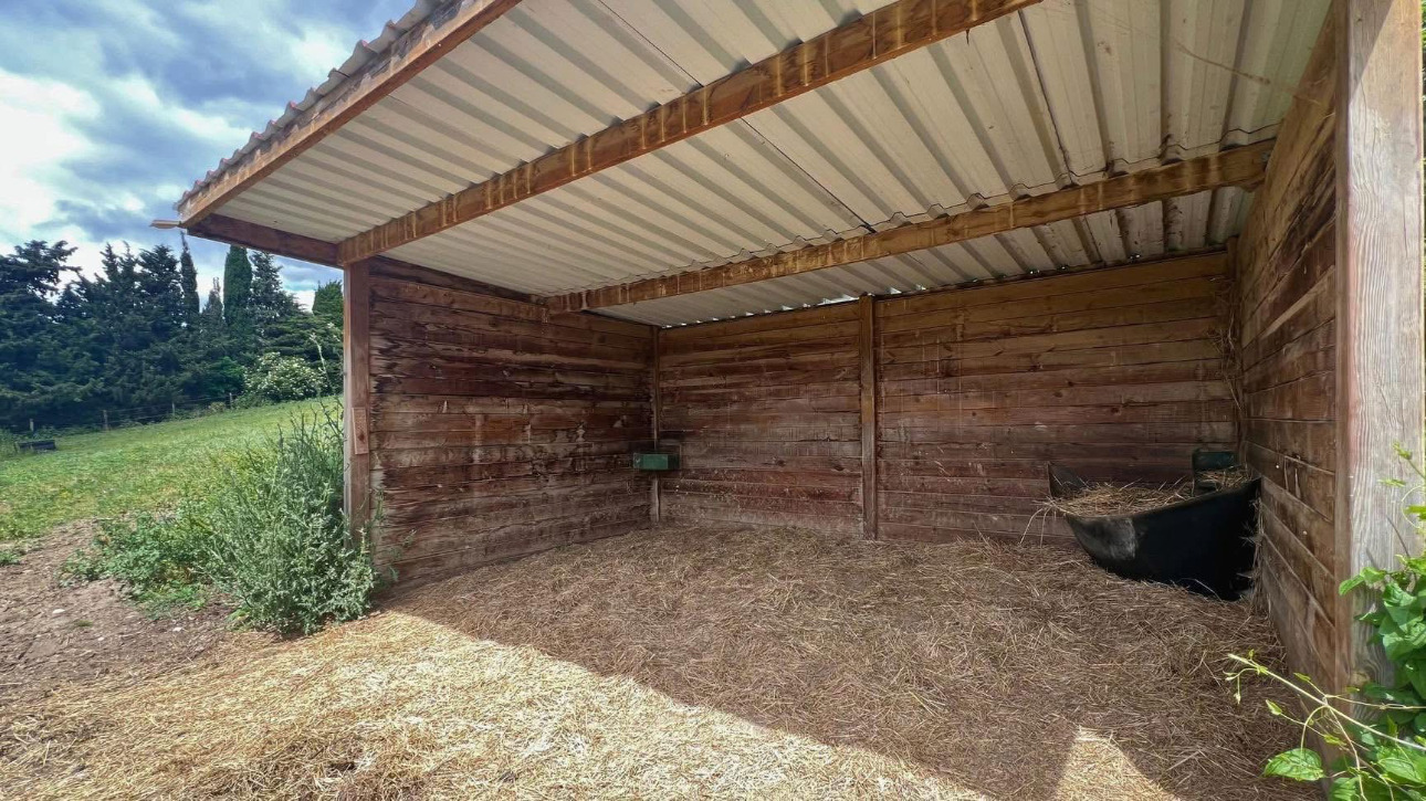 Photos 13 - Équestre - Propriété équestre de 6,3 hectares au coeur de l'Aude