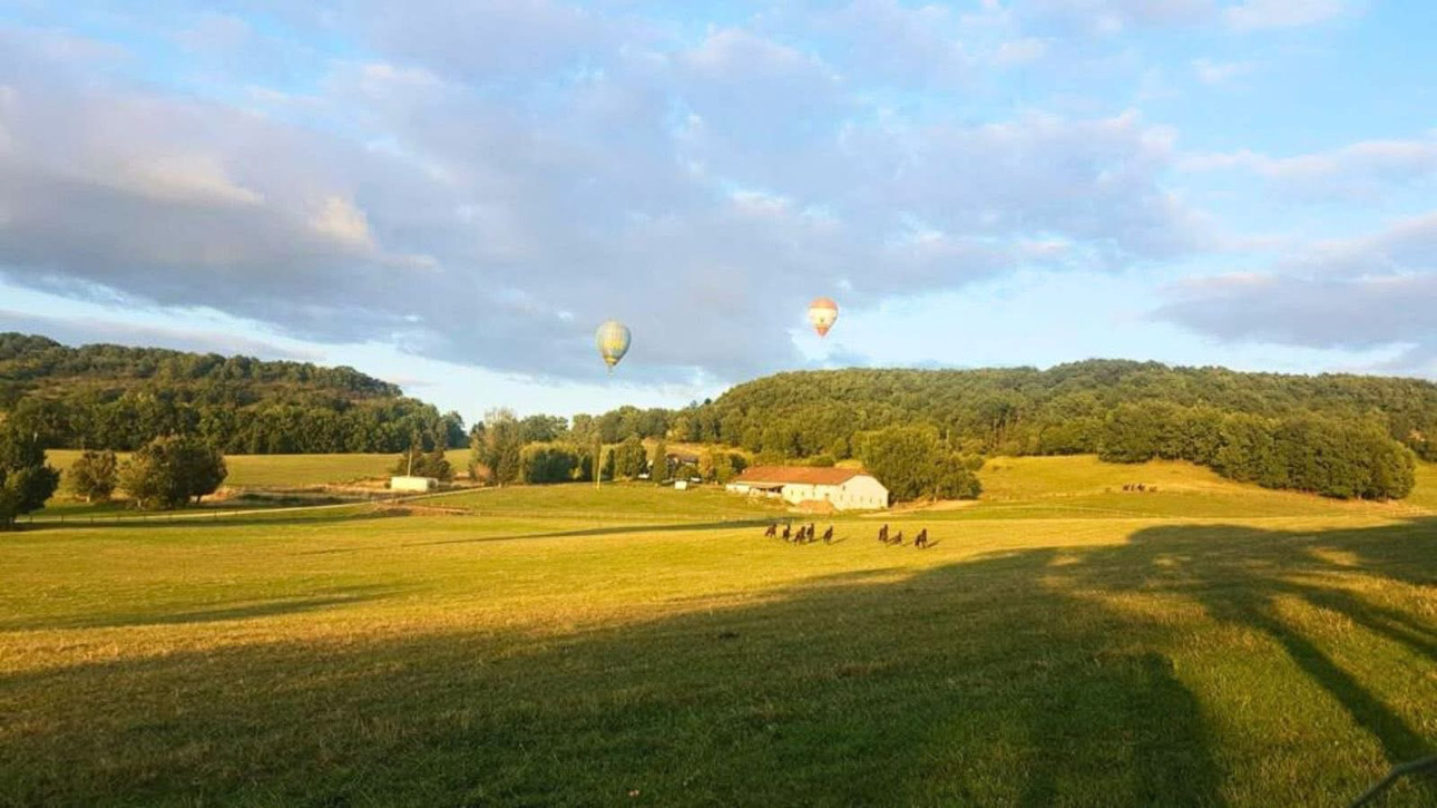 Photos 2 - Équestre - Domaine équestre de 40 hectares