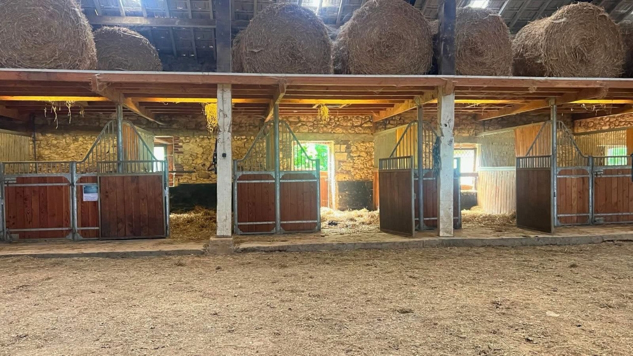 Photos 4 - Équestre - Domaine équestre de 40 hectares