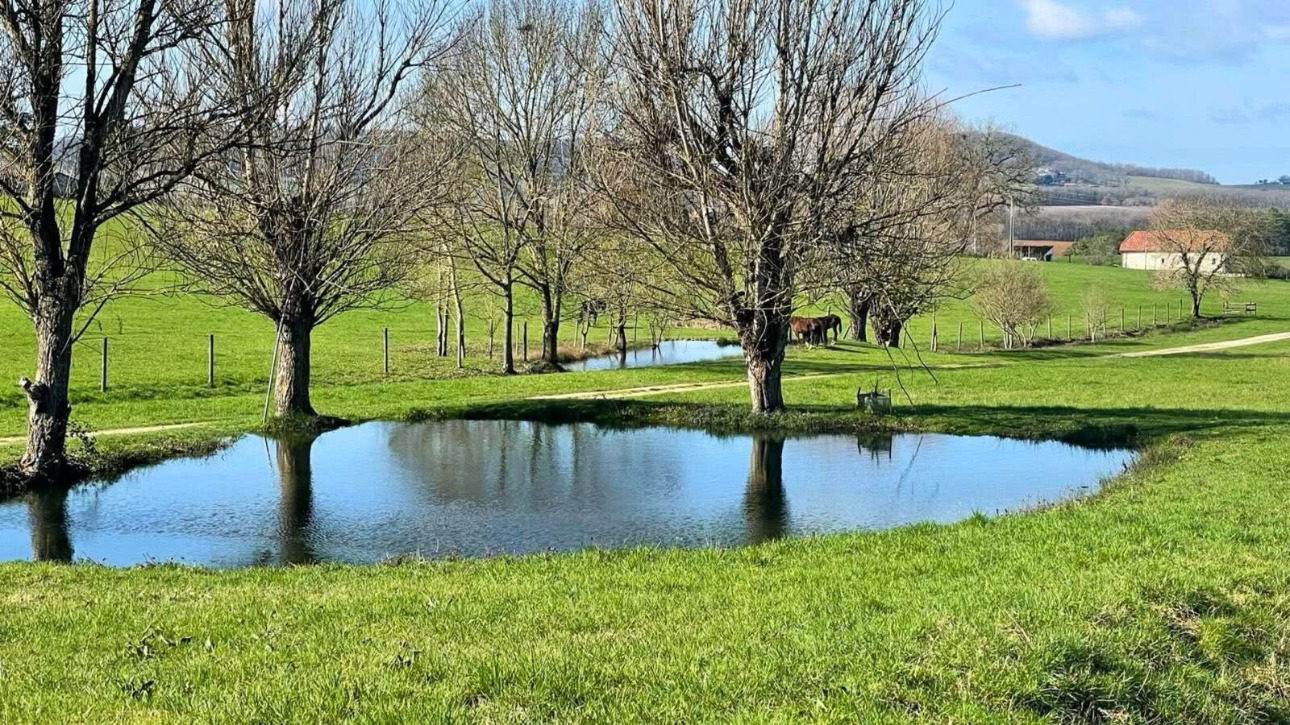 Photos 9 - Équestre - Domaine équestre de 40 hectares