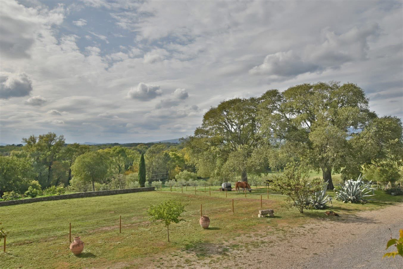 Photos 3 - Équestre - Charmante propriété équestre de 3 hectares (30)
