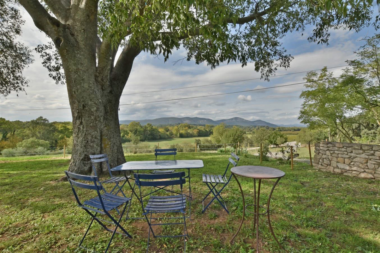 Photos 12 - Équestre - Charmante propriété équestre de 3 hectares (30)