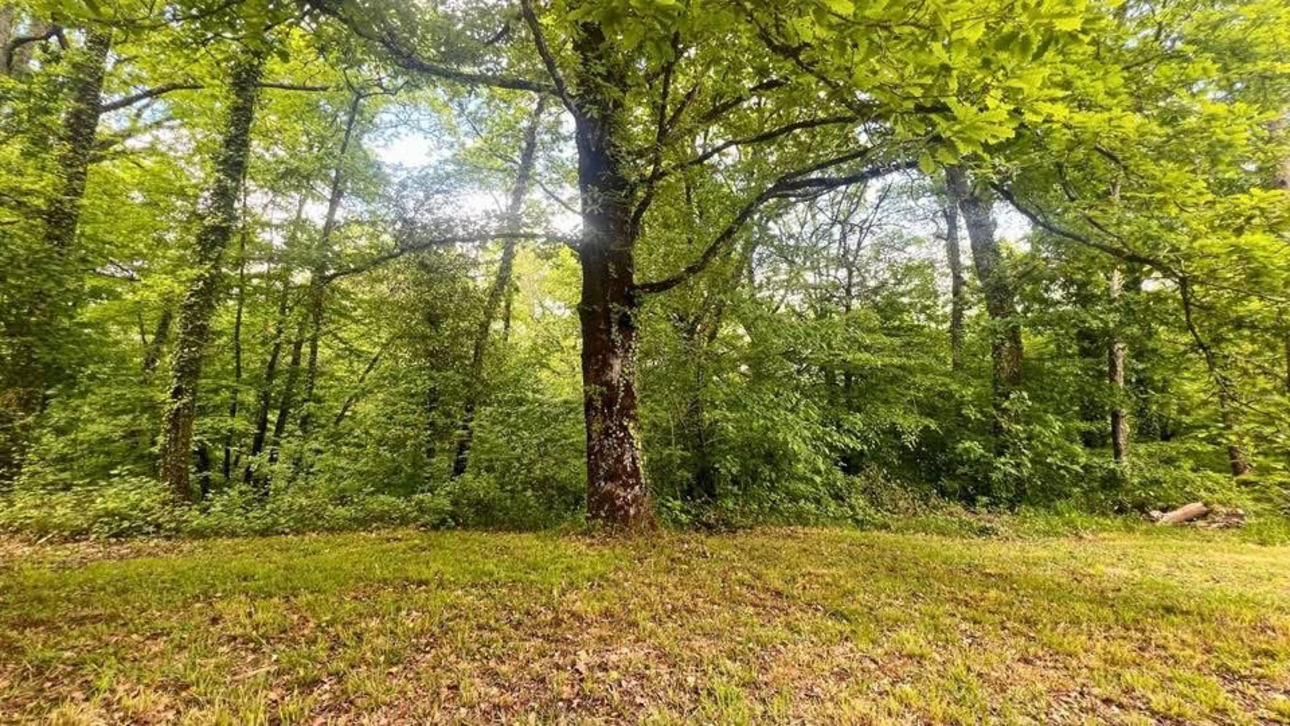 Photos 10 - Prestige - Une parenthèse enchantée de 10 hectares