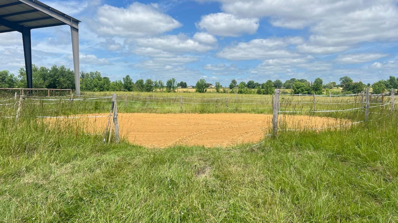 Photos 5 - Équestre - Propriété équestre en activité de 20 hectares