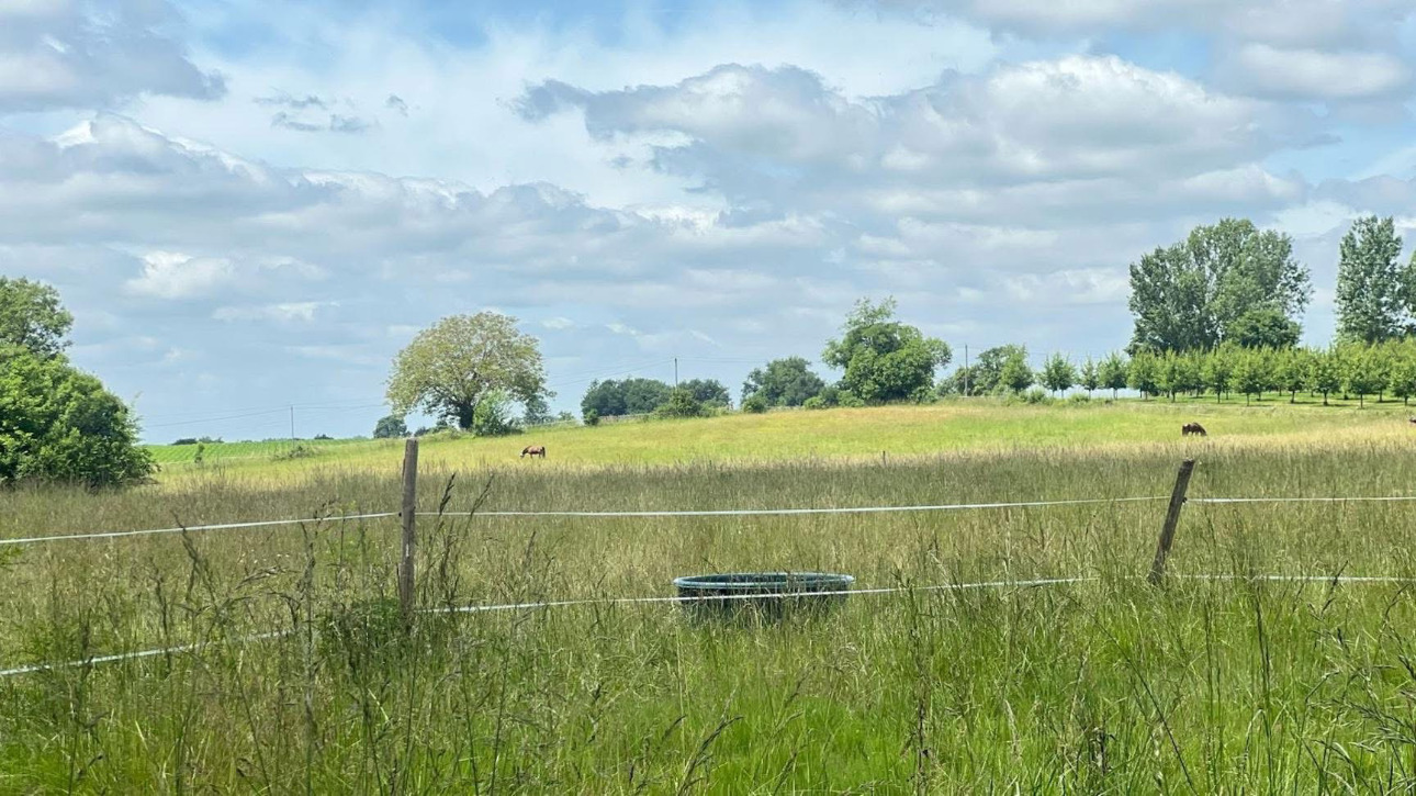 Photos 6 - Équestre - Propriété équestre en activité de 20 hectares