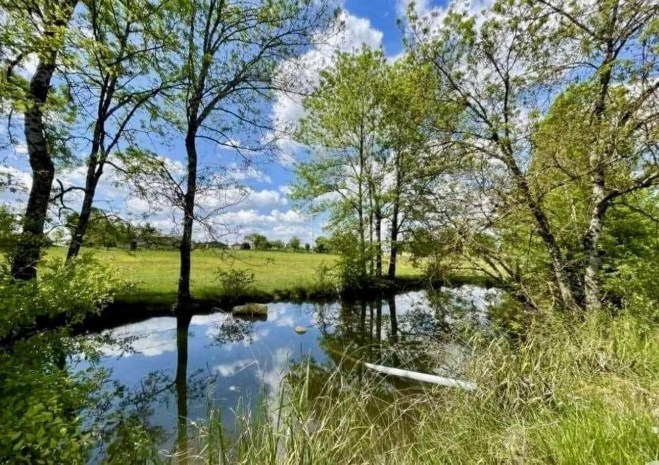 Photos 7 - Équestre - Propriété équestre en activité de 20 hectares