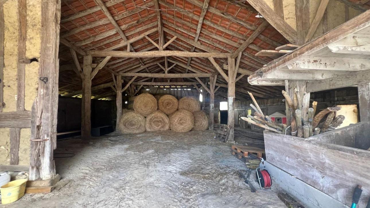Photos 12 - Équestre - Propriété équestre en activité de 20 hectares