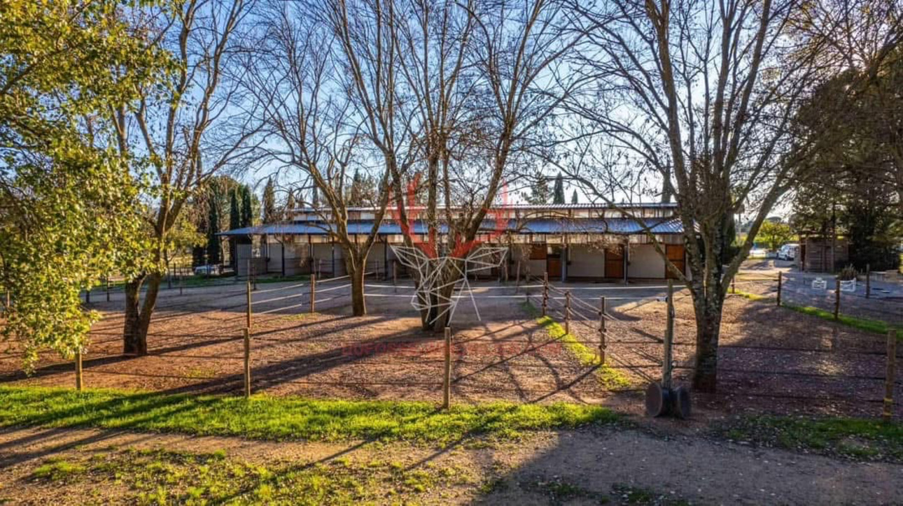 Photos 7 - Équestre - Domaine d'exception de 10 hectares au coeur de la Provence