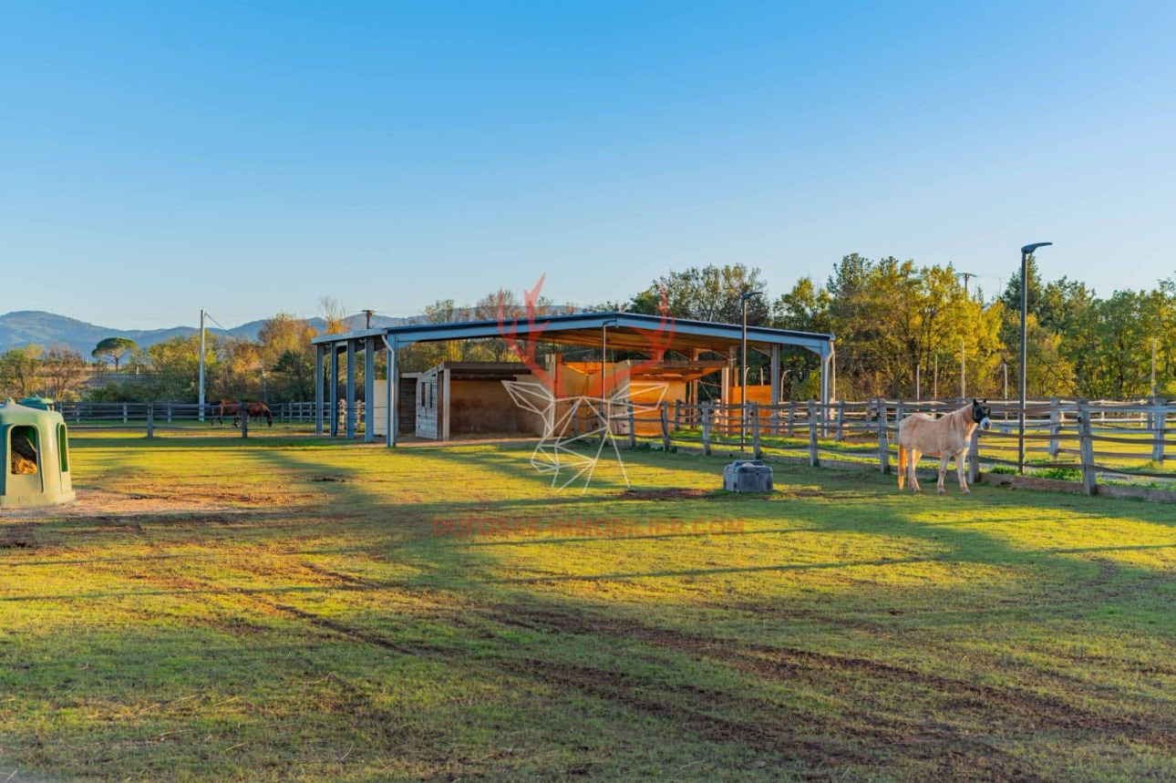Photos 17 - Équestre - Domaine d'exception de 10 hectares au coeur de la Provence