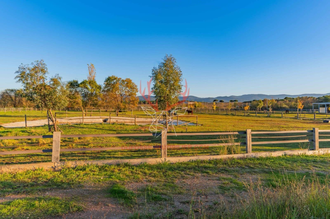 Photos 18 - Équestre - Domaine d'exception de 10 hectares au coeur de la Provence