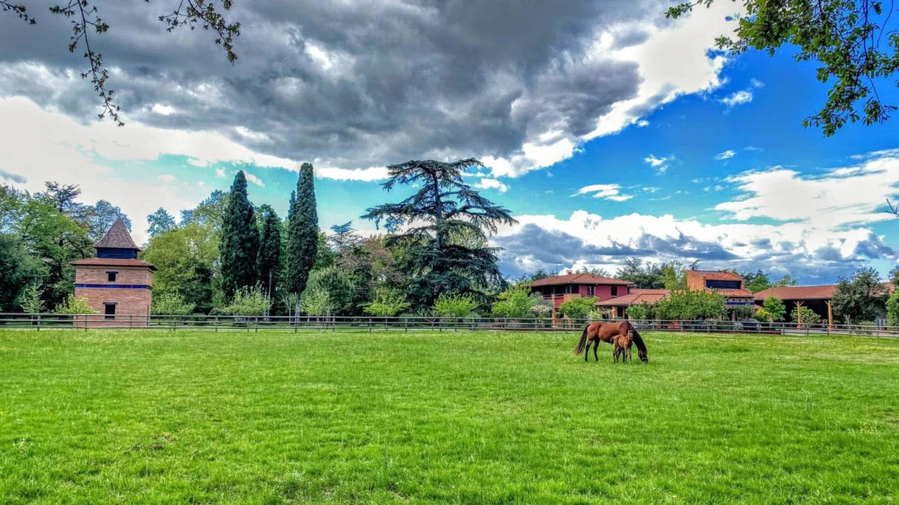 Photos 2 - Équestre - Domaine d'exception niché au coeur de 15 hectares soigneusement aménagés
