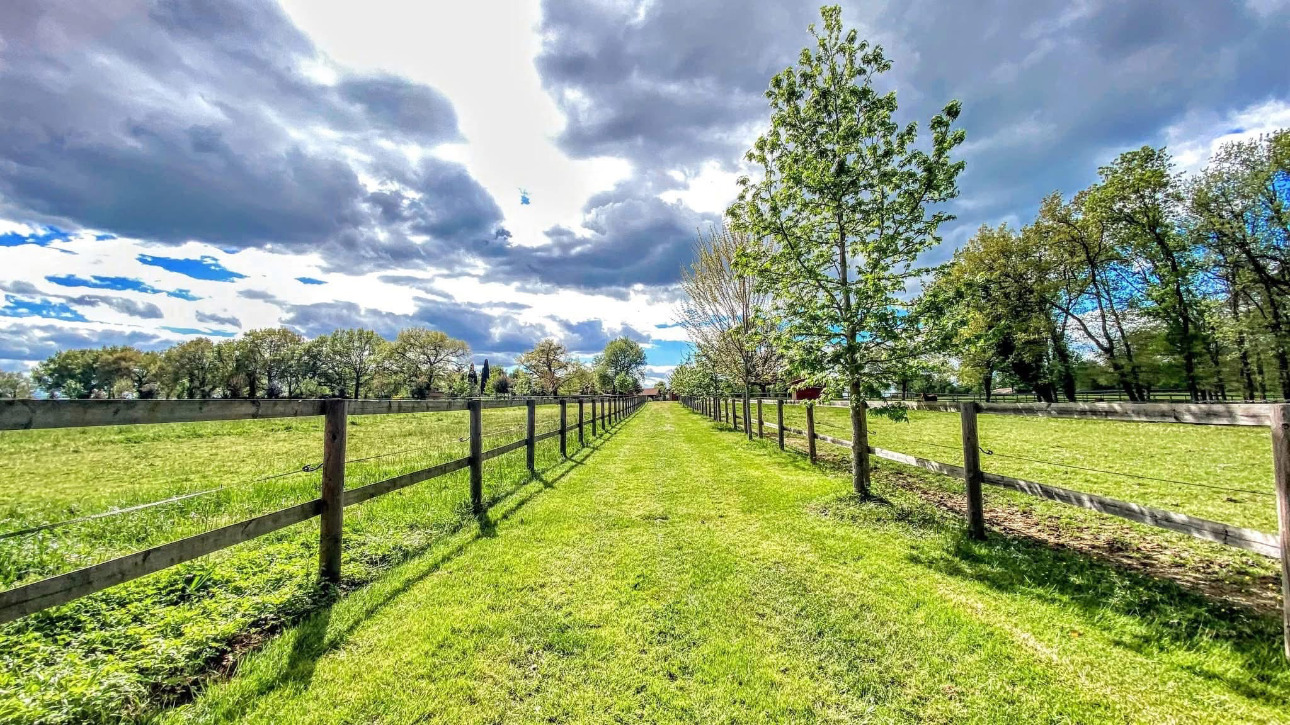 Photos 9 - Équestre - Domaine d'exception niché au coeur de 15 hectares soigneusement aménagés