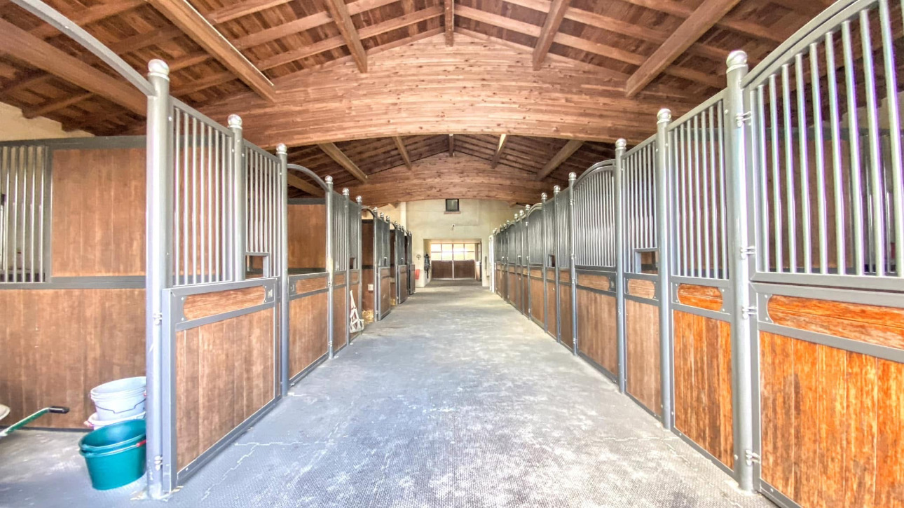 Photos 11 - Équestre - Domaine d'exception niché au coeur de 15 hectares soigneusement aménagés