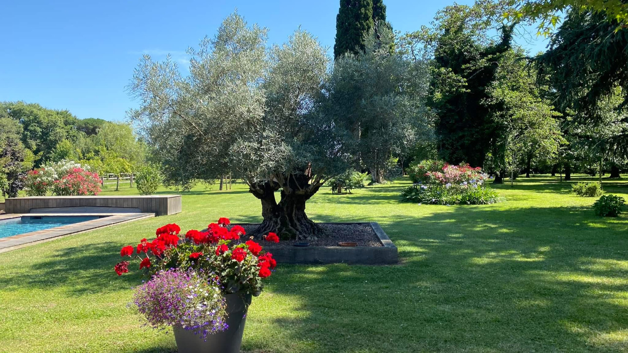 Photos 12 - Équestre - Domaine d'exception niché au coeur de 15 hectares soigneusement aménagés