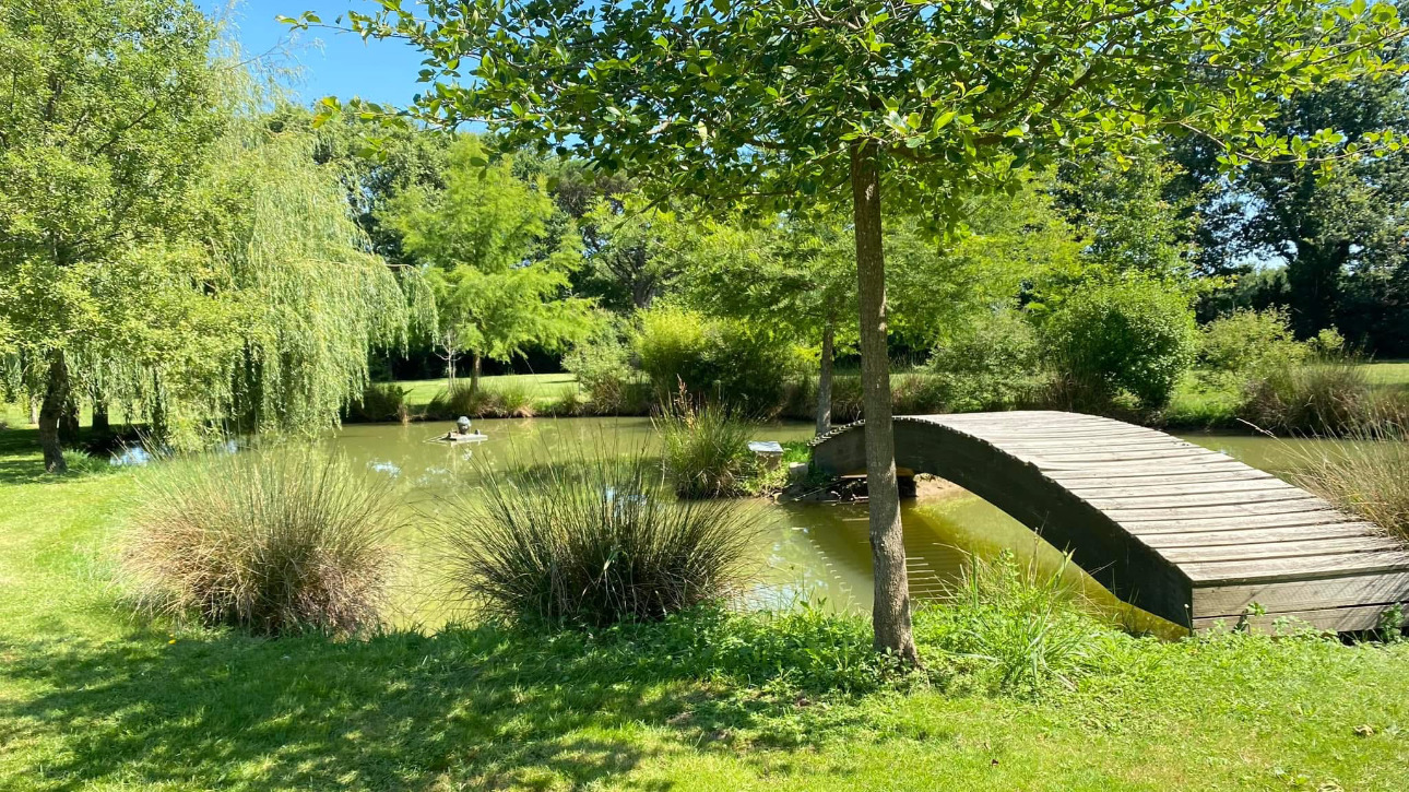 Photos 13 - Équestre - Domaine d'exception niché au coeur de 15 hectares soigneusement aménagés