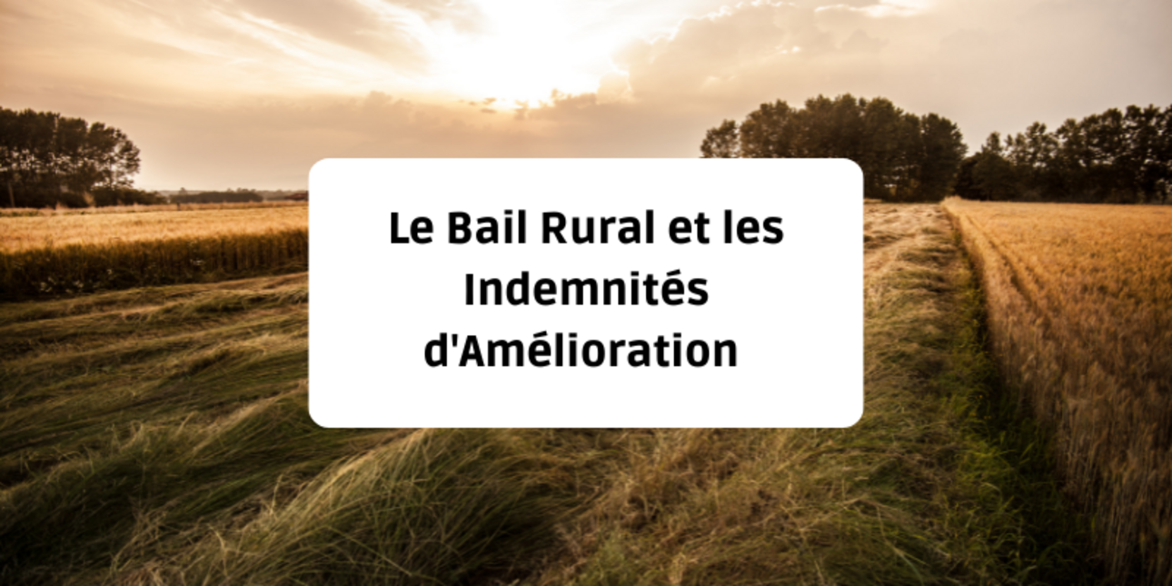 Le Bail Rural et les Indemnités d'Amélioration : Droits et Obligations du Preneur Sortant