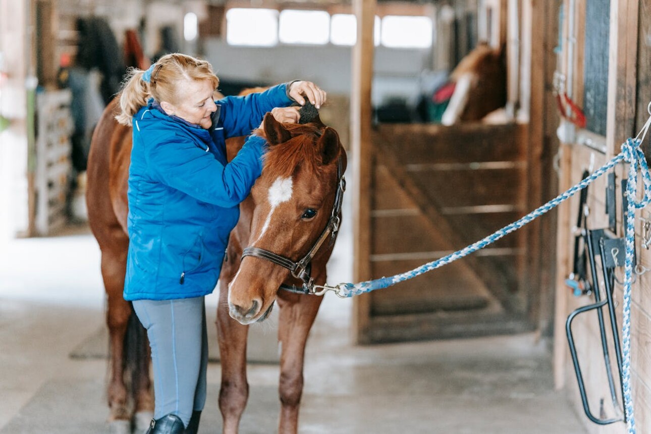 What advice should you follow to move your equestrian property without stress or risk?