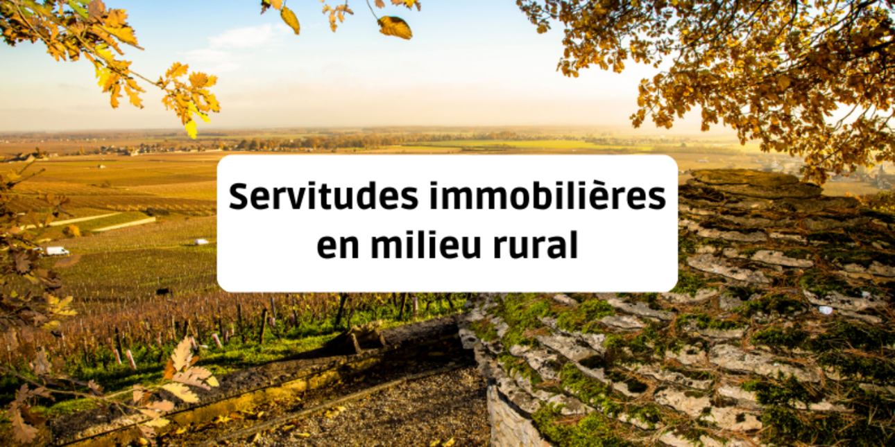 Servitudes immobilières en milieu rural : guide complet pour comprendre vos droits avant l'achat