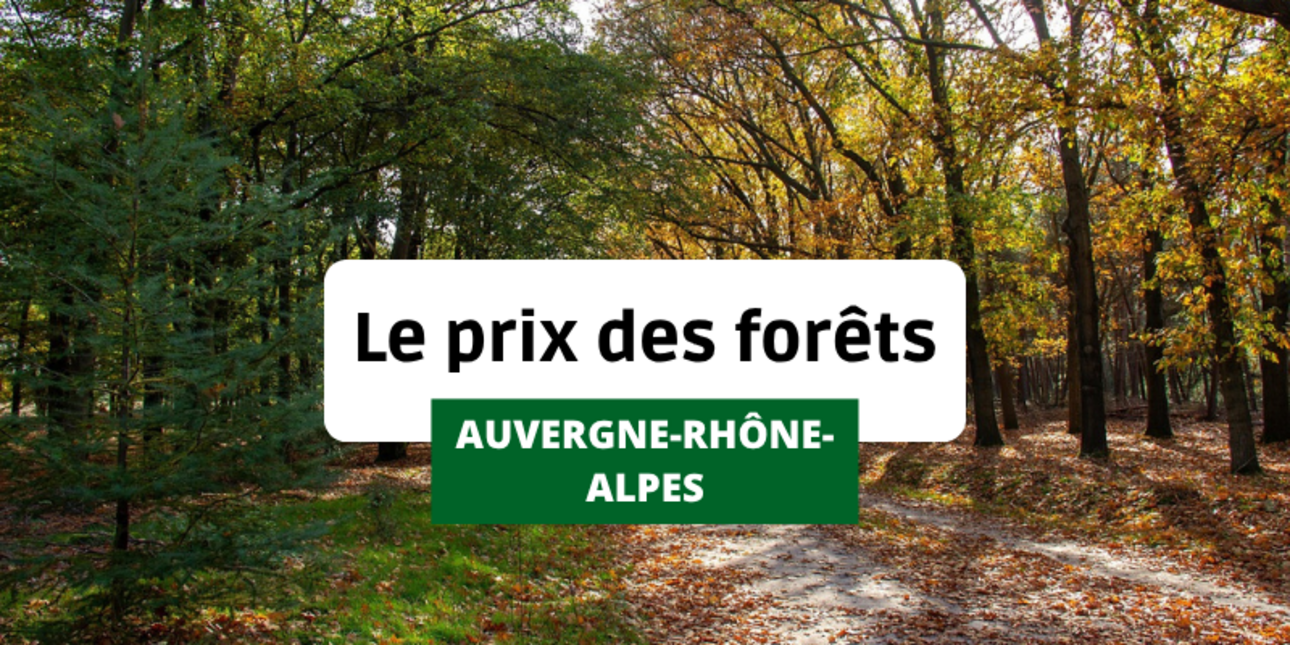 Prix des forêts en Auvergne-Rhône-Alpes